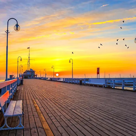 Apartment Walecznych - Brzezno